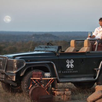 The Wilderness Within: Africa's Pioneering Luxury Wellness Safari